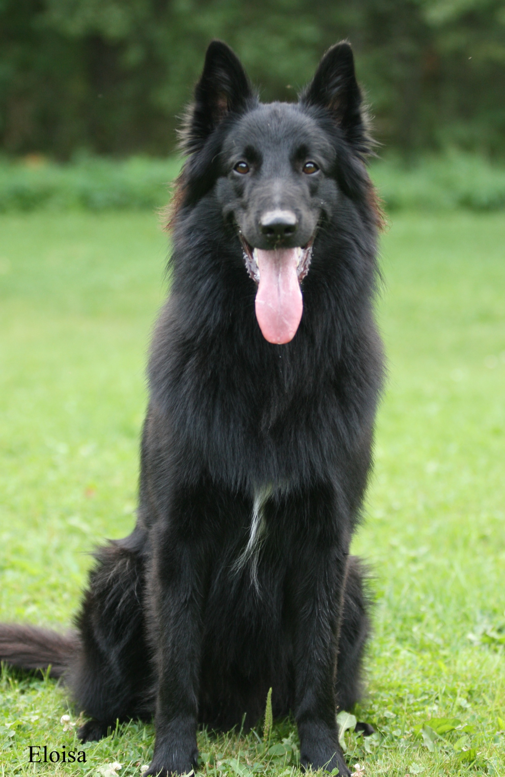 Kuti
