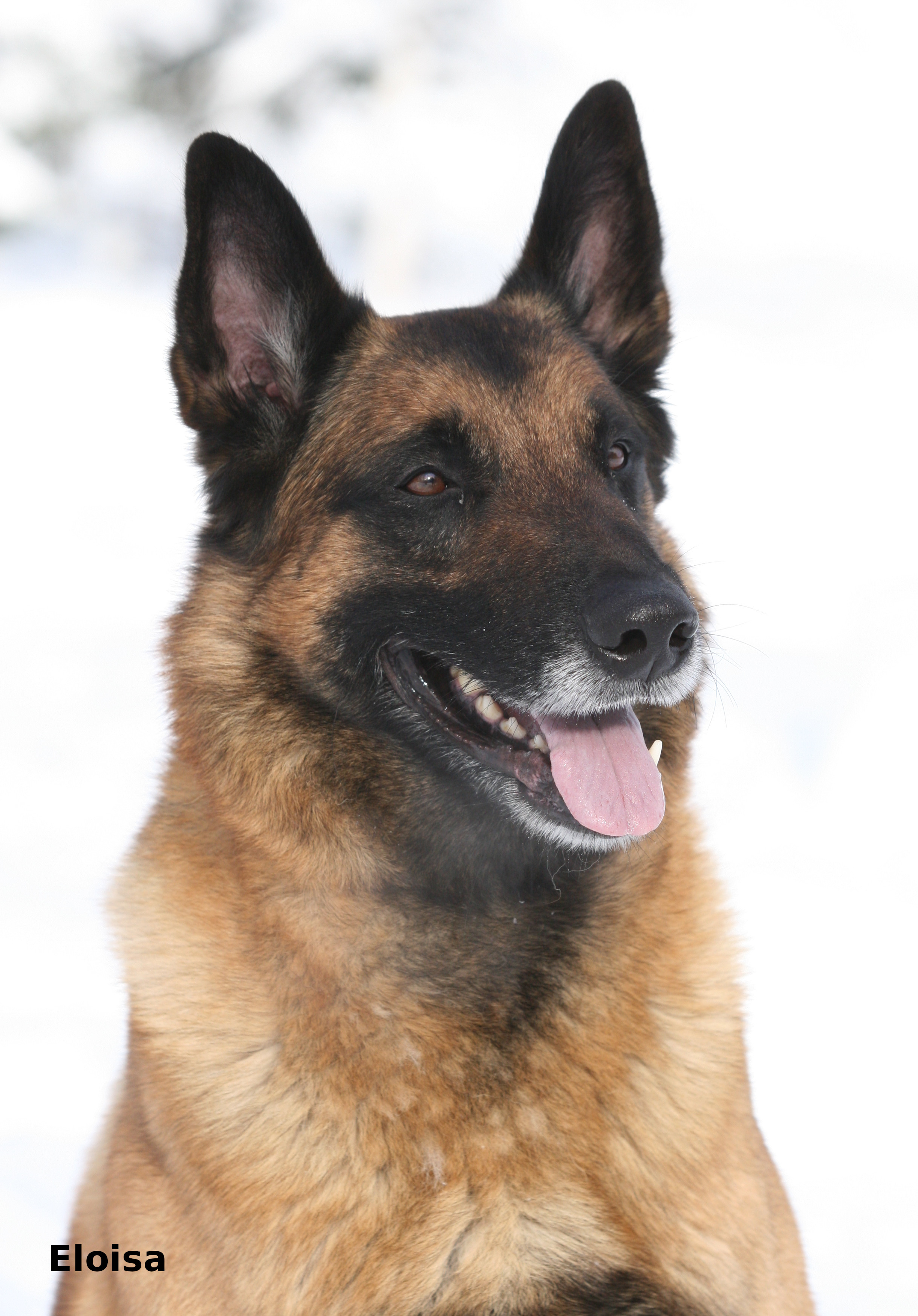 Ukko