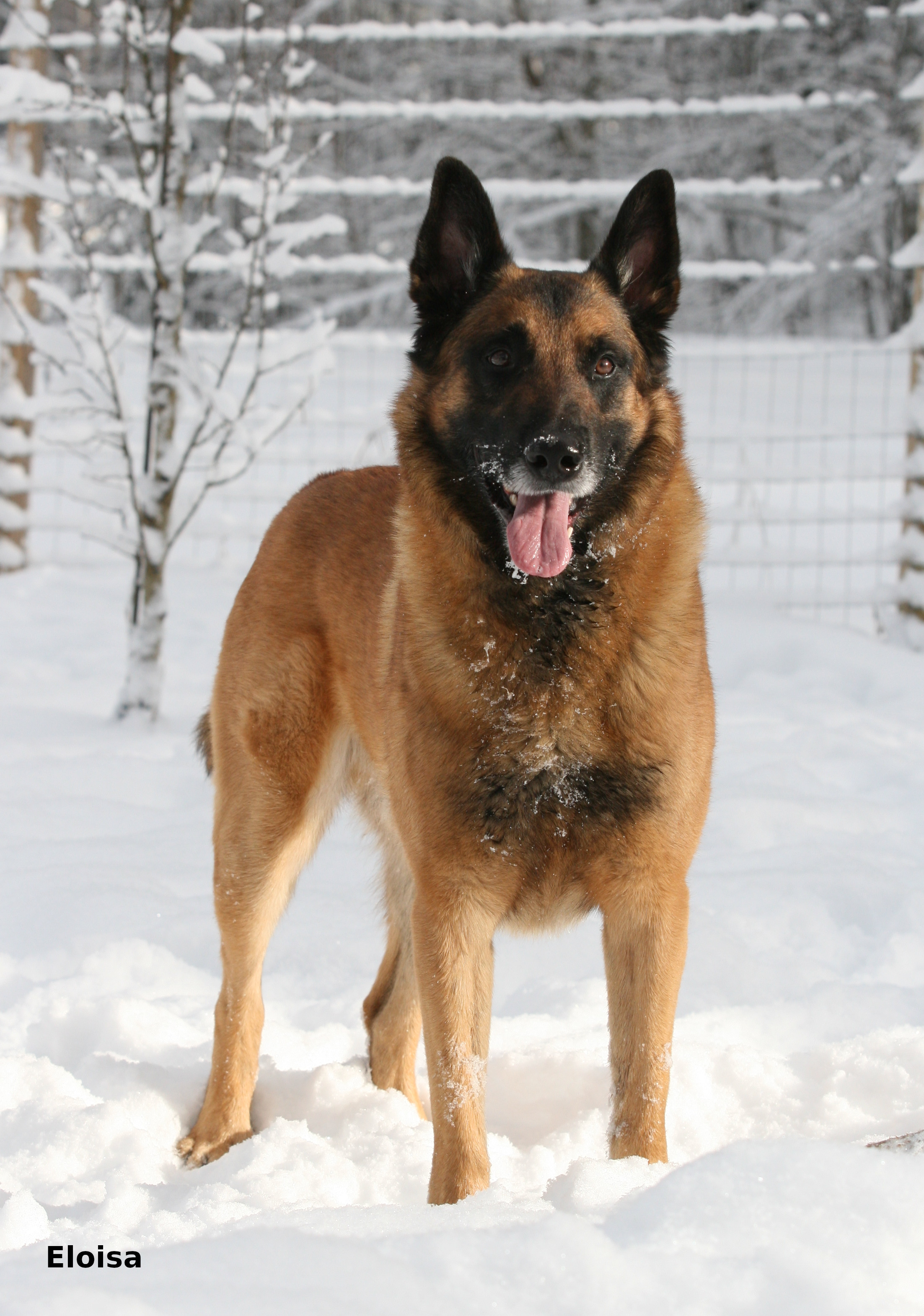 Ukko