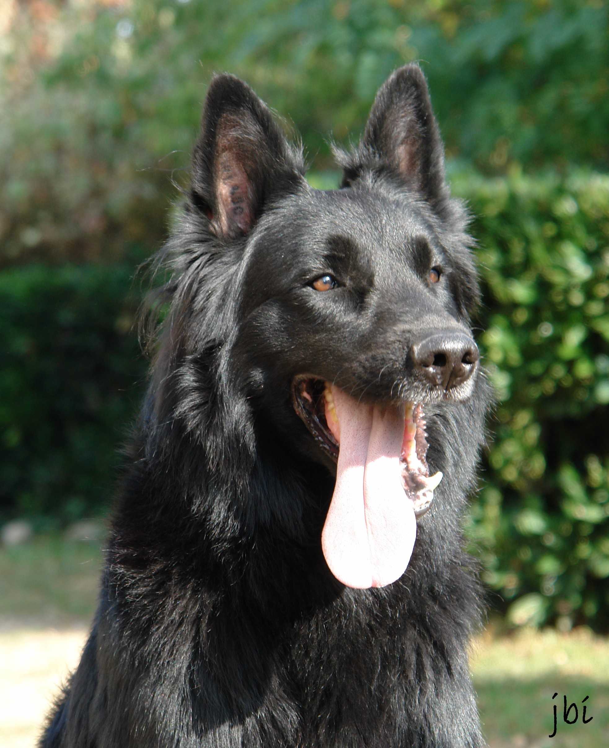 Vicky du Chateau du Paradis